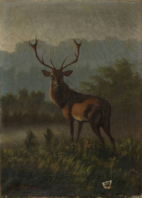 The Stag