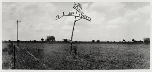 A Joy Forever, Roadside, Florida