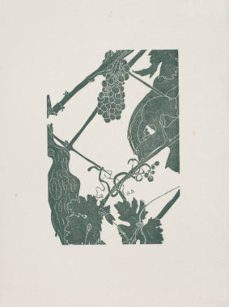 untitled (grapes and vine)