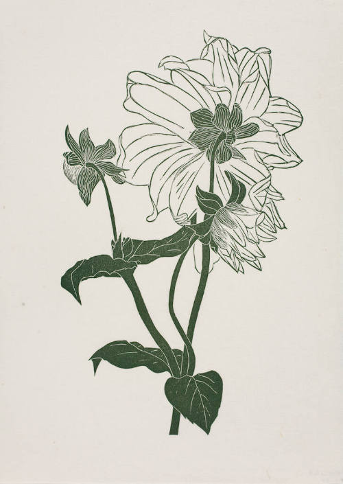 untitled (flowers)