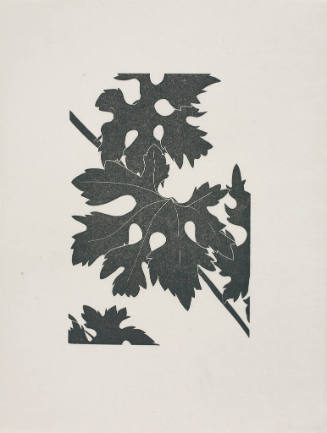 untitled (vine)