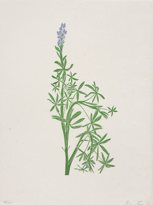 untitled (lupine)