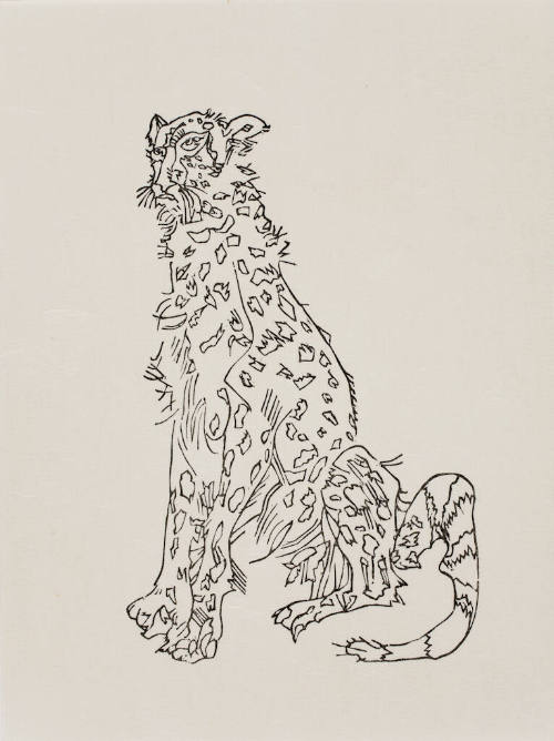 untitled (leopard)