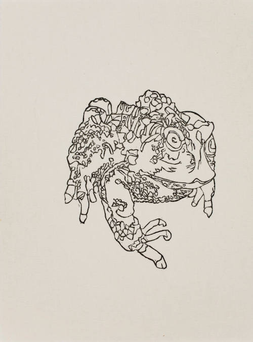 untitled (toad)