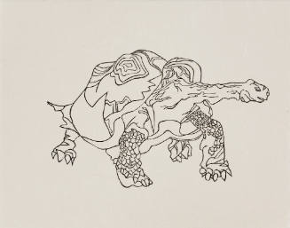 untitled (tortoise)