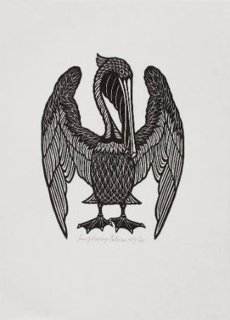 Pelican