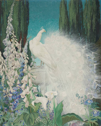 White Peacock on Fountain
