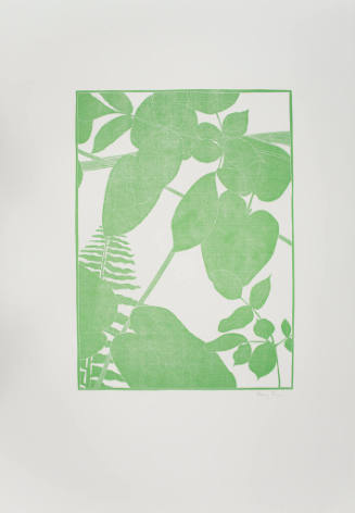 Botanical Prints Vol. 8 plate 1