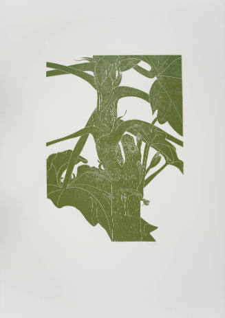 Botanical Prints Vol. 8 plate 5