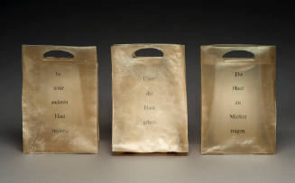 Three rectangular, translucent pigskin bags with printed text in German, a book placed in the c…