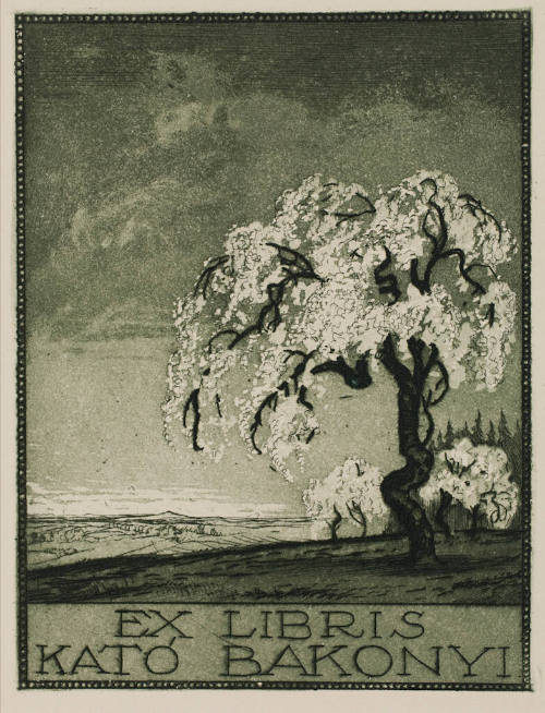 Ex Libris Kato Bakonyi