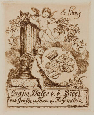 Ex Libris Grafin Plater v.d. Broel geb. Grafin v, Thun ? Hohenstein