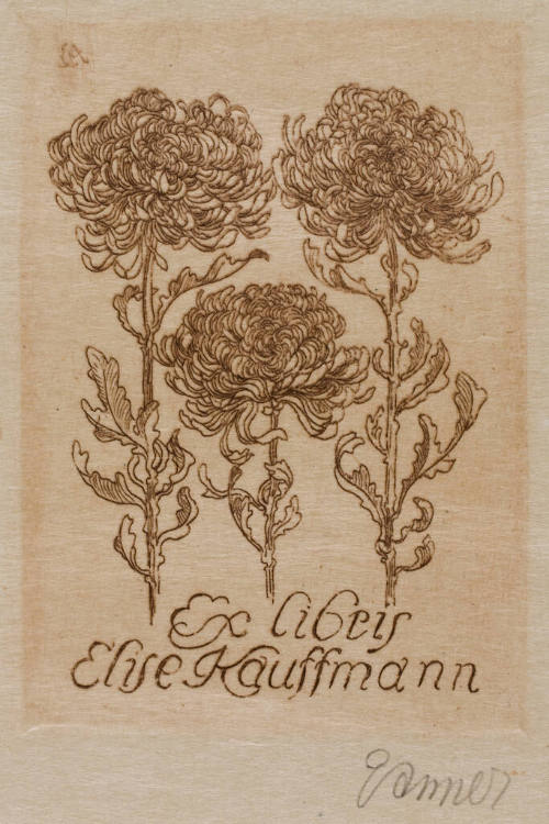 Ex Libris Elise Kauffmann