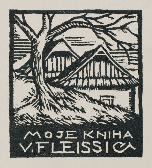 Moje Kniha V. Fleissig