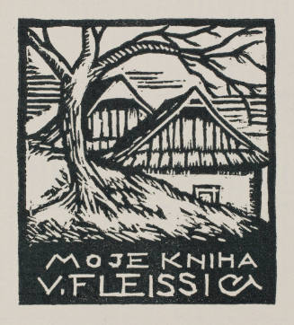 Moje Kniha V. Fleissig