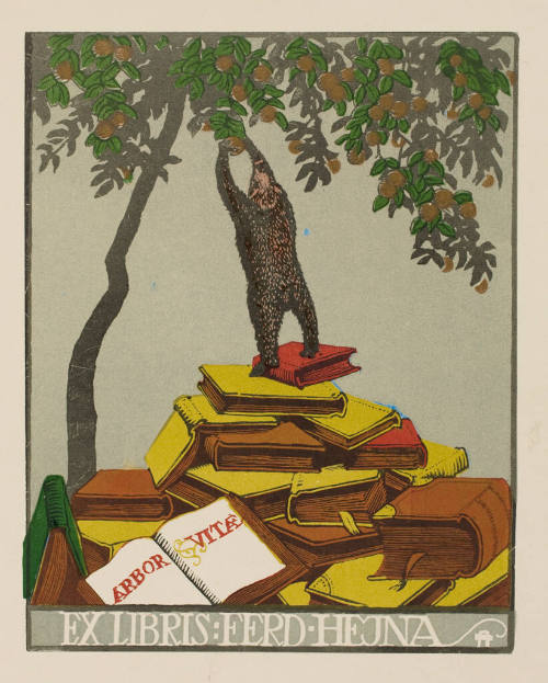 Ex Libris : Ferd - Hejna