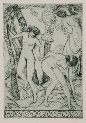 Ex LIbris Dr. Josef Lenze