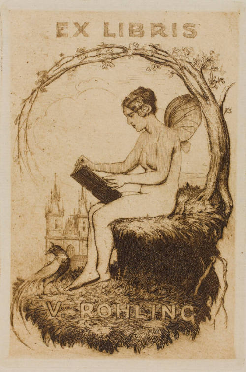 Ex Libris V. Rohling