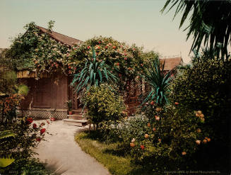 Rose-Covered Cottage, Pasadena