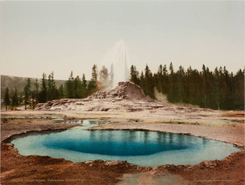 Castle Geyser, Yellowstone National Park