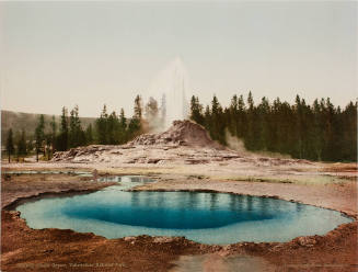 Castle Geyser, Yellowstone National Park