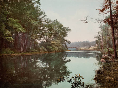 The Bronx River in Bronx Park, New York