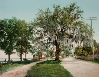 Along the Bay, Bay St. Louis, Miss.