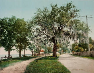 Along the Bay, Bay St. Louis, Miss.