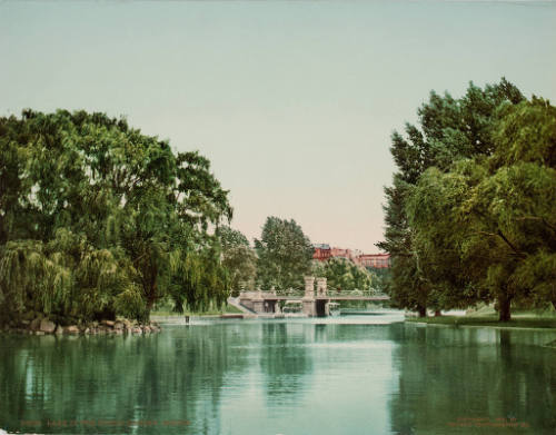 Lake in the Public Garden, Boston