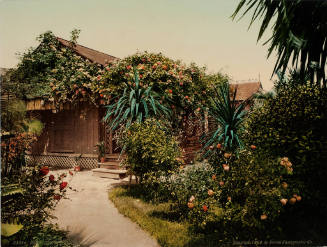 Rose-Covered Cottage, Pasadena, California
