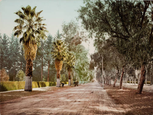 California, Magnolia Avenue, East Riverside