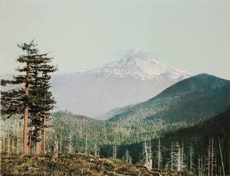 Mount Hood, Oregon, 1901