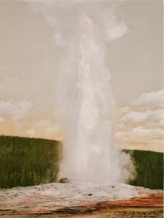 "Old Faithful" Geyser, Yellowstone National Park