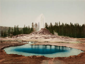 Castle Geyser, Yellowstone National Park