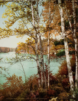 The Inlet, Spit-fire Lake, Adirondack Mountains