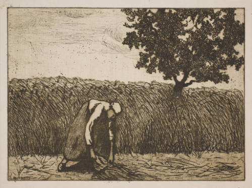 [Woman gleaning]