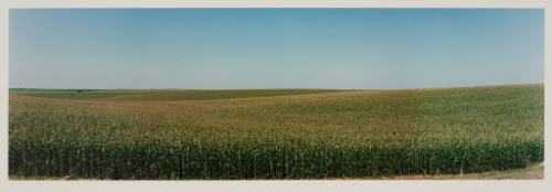 Cornfields, Sherman County, Nebraska