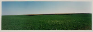 Fields, Buffalo County, Nebraska