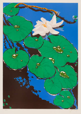 (Pond Lilies)