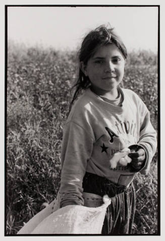 Migrant worker picking cotton, Turkey