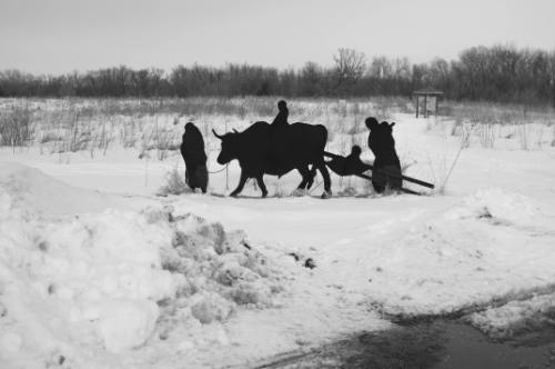 Minnesota River, Site of 1851 Treaty of Traverse des Sioux