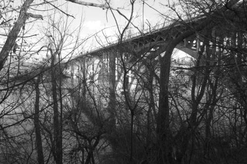 Ford Parkway Bridge, View from Longfellow Neighborhood