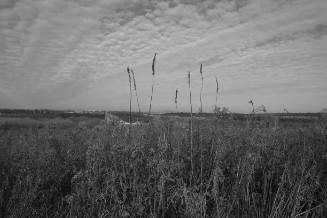 Oheyawhi/Pilot Knob, Site of 1851 Treaty with Sioux