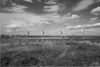 Mississippi River, Purple Martin Houses