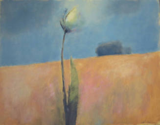 Single Flower in Ochre Field