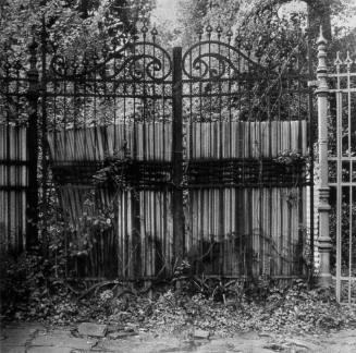 Abandoned Gate