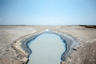 Salt Flat Pond, Camargue, France