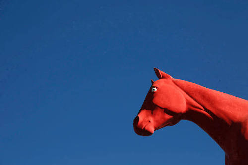 Horse, Bishop, California, v. 1