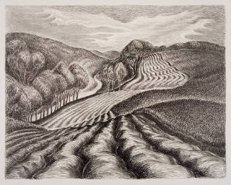 Ploughed Fields