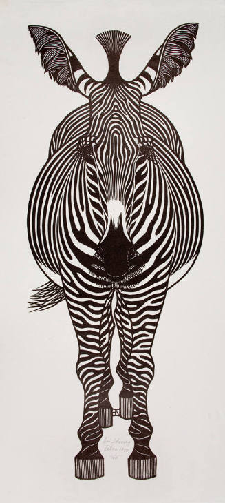 Zebra